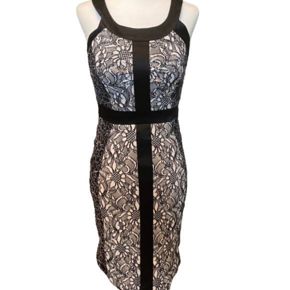 Cache Black and White Lace Round Neck Dress Size 2 - Picture 2 of 10